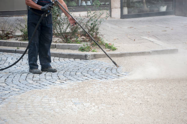 Best Gutter Cleaning  in Mccla, AL